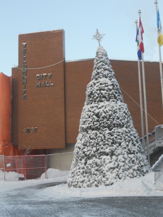 Yellowknife City Hall Christmas tree