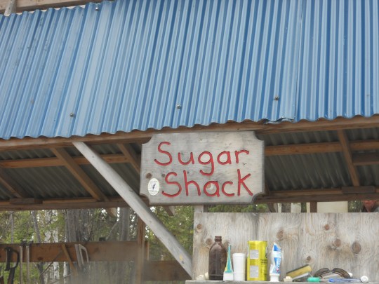 Sugar shack outside Yellowknife