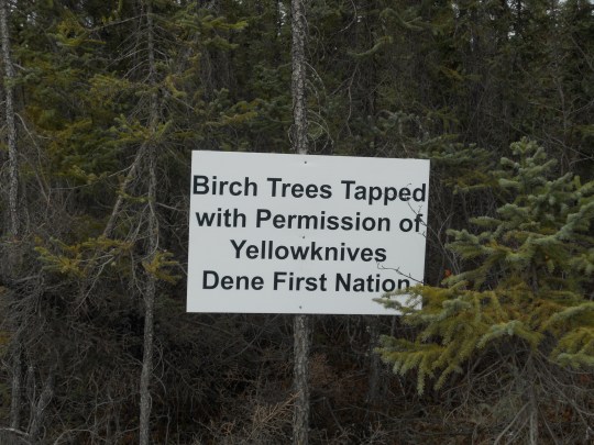 Yellowknives Dene land