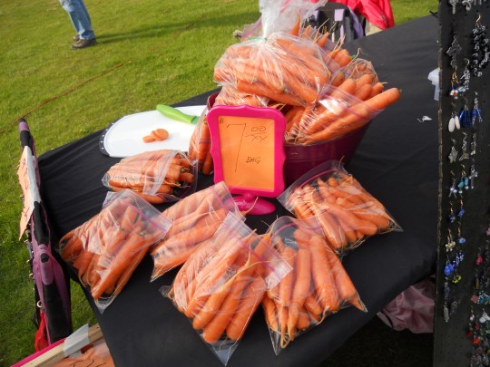 Yellowknife Farmers' Market