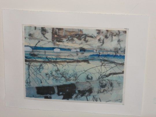 Stolons Interactive Art 2