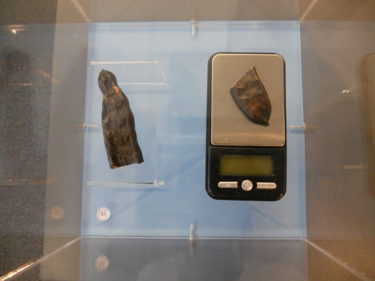Carob seed and gem scale