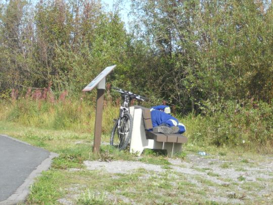 Taking a summer siesta